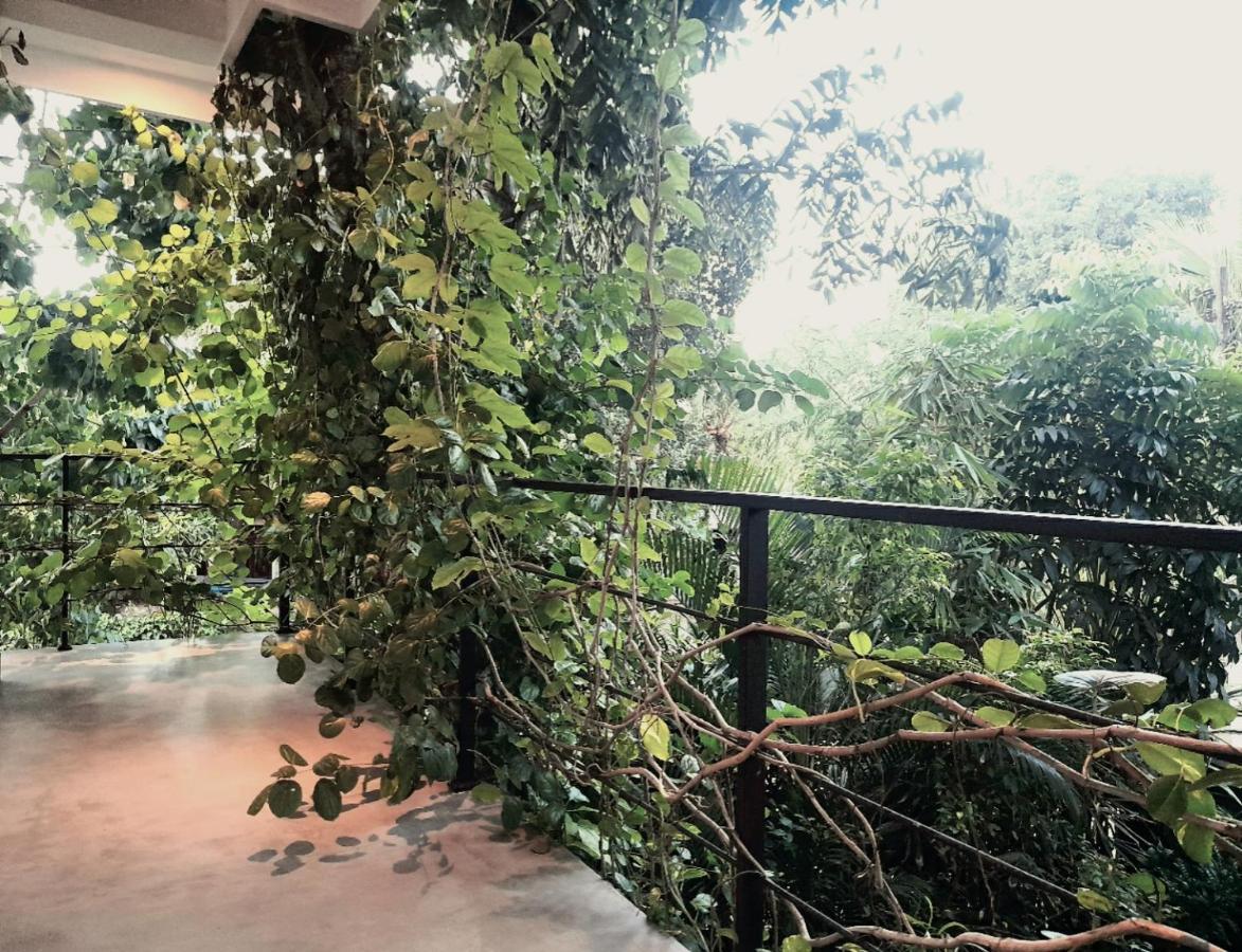 Weligama Bay Watsila Resort Exteriör bild
